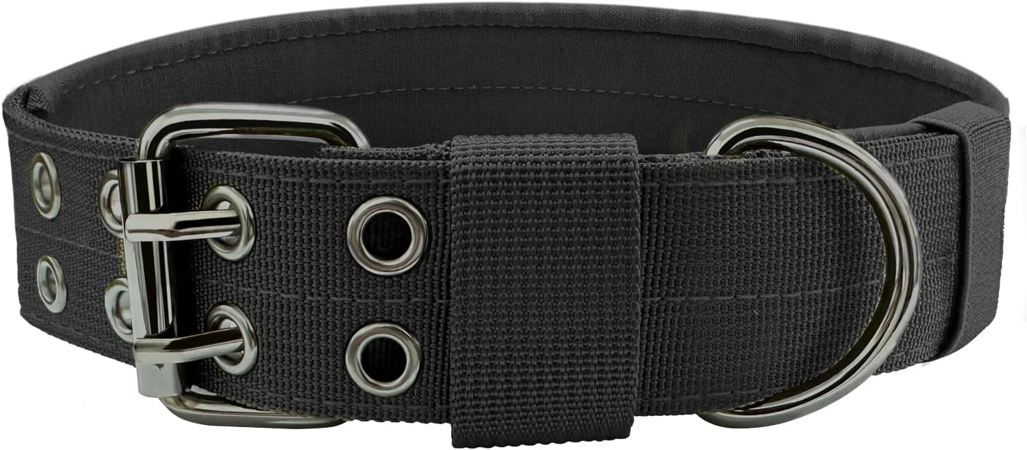 Heavy Duty Nylon Dog Collar with Metal Buckle, D-Ring Attachment and Adjustable Thick Strap