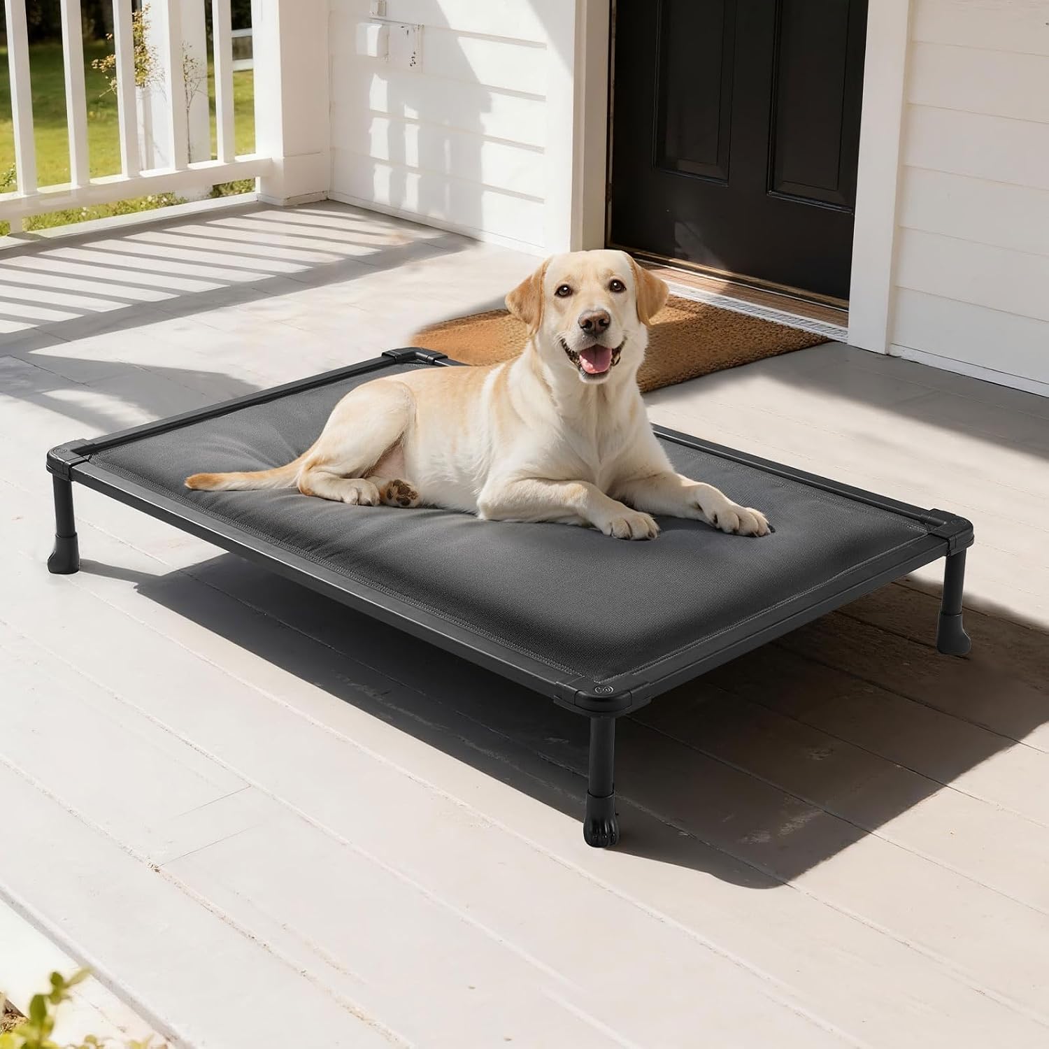 Elevated Dog Cot with Soft Cushion, Waterproof Surface, Metal Frame and Stable Raised Design