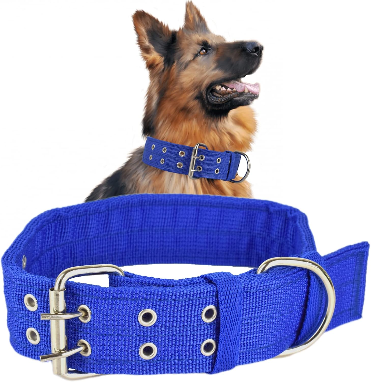 Adjustable Nylon Dog Collar with Double Row Buckle, D-Ring Attachment and Outdoor Walking Design